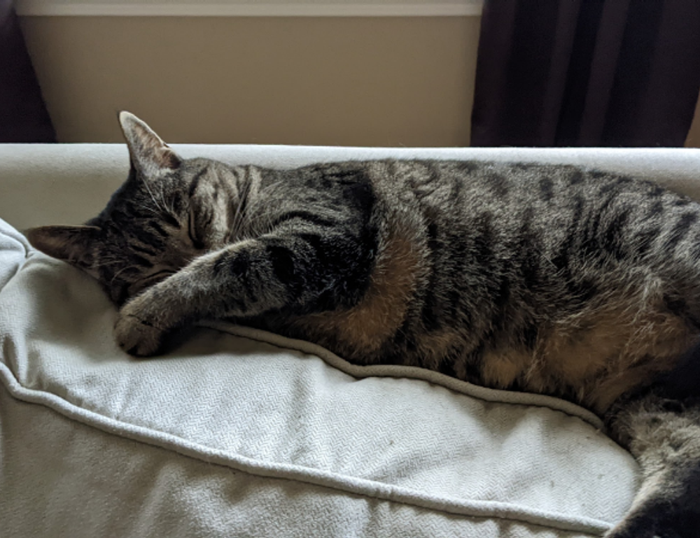 island name ponadiza