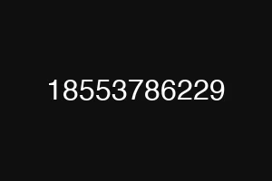 18553786229