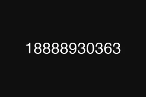 18888930363