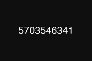 5703546341