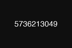 5736213049