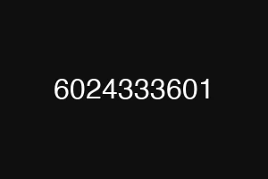 6024333601