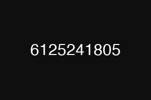 6125241805