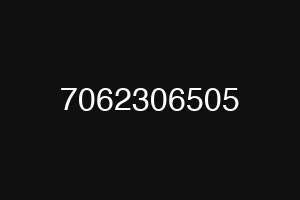 7062306505