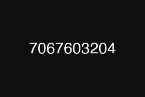7067603204