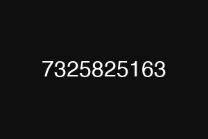 7325825163