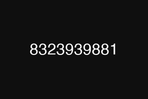 8323939881