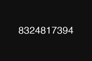 8324817394