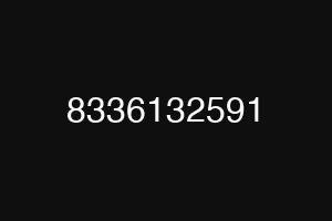 8336132591