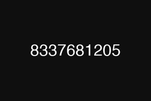 8337681205