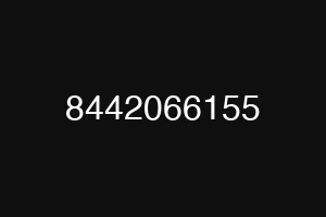 8442066155