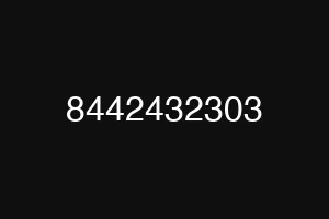 8442432303