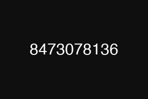 8473078136