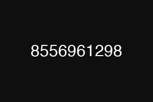 8556961298