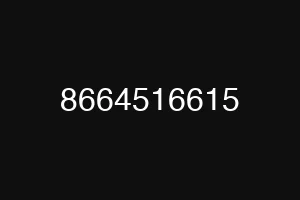 8664516615