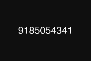 9185054341