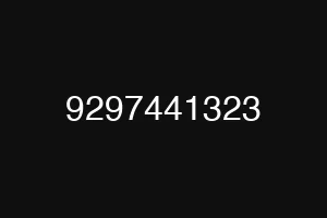 9297441323