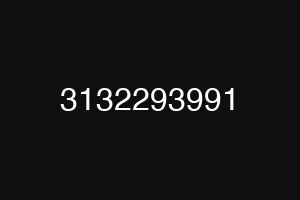3132293991