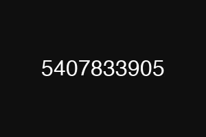 5407833905