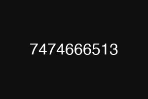 7474666513