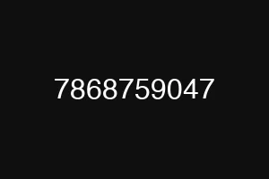 7868759047