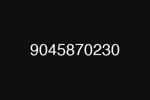 9045870230