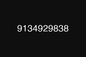 9134929838