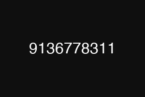 9136778311
