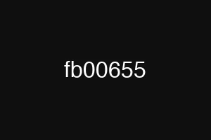 fb00655
